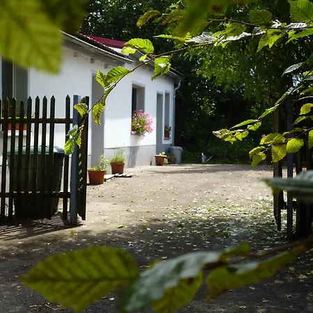 Helle Und Moderne Im Allgaeu Fuer 2 Personen * Leutkirch im Allgäu