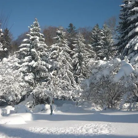 Helle Und Moderne Im Allgaeu Fuer 2 Personen Lägenhet