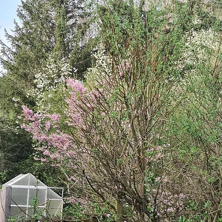 Helle Und Moderne Im Allgaeu Fuer 2 Personen Lägenhet