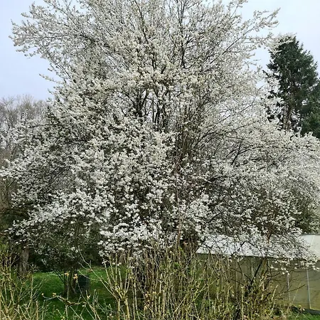 Helle Und Moderne Im Allgaeu Fuer 2 Personen *