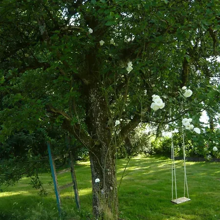 Helle Und Moderne Im Allgaeu Fuer 2 Personen * Leutkirch im Allgäu