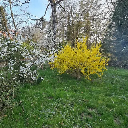 Lejlighed Helle Und Moderne Im Allgaeu Fuer 2 Personen *